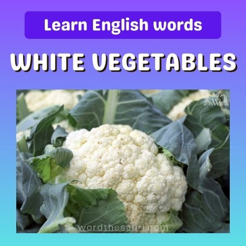 List of white color vegetables